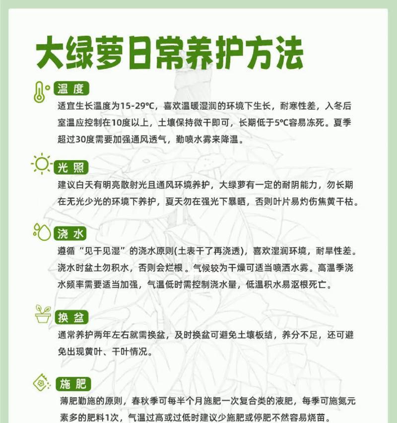 绿萝生根的秘诀是什么？如何促进绿萝快速生根？
