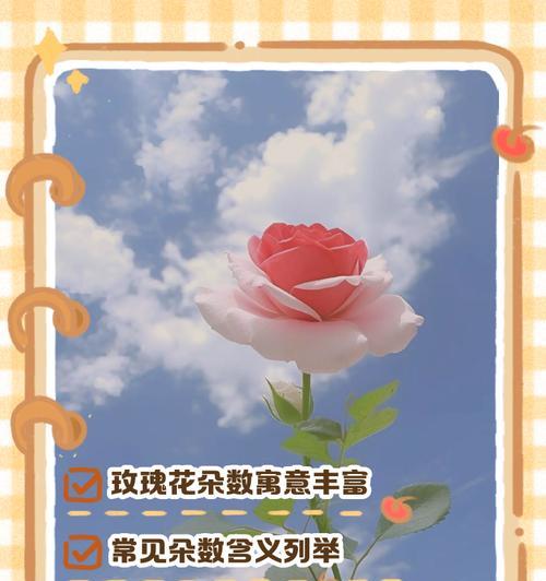 朋友送玫瑰花的含义是什么？