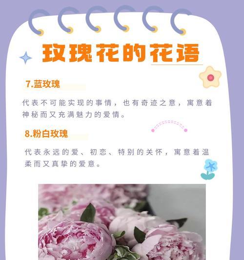 粉嫩玫瑰花的寓意是什么？它的花语有哪些？