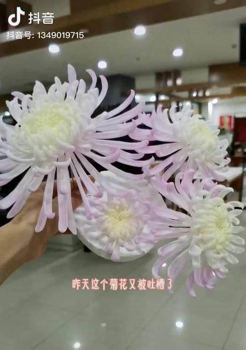 哪种花代表魅惑与邪恶？