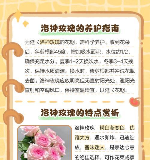 玫瑰花语通常代表了哪些意义？