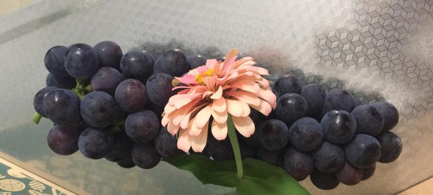 加兰的花语是什么意思？这种花语有何特别之处？