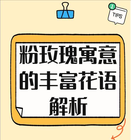 玫瑰花语通常如何诠释？玫瑰花代表了哪些情感？