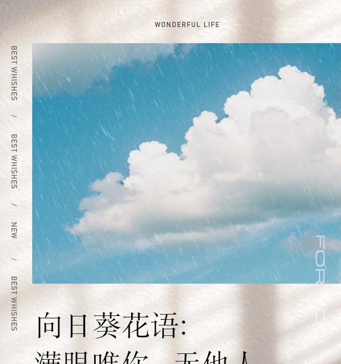 太阳花的花语代表什么？