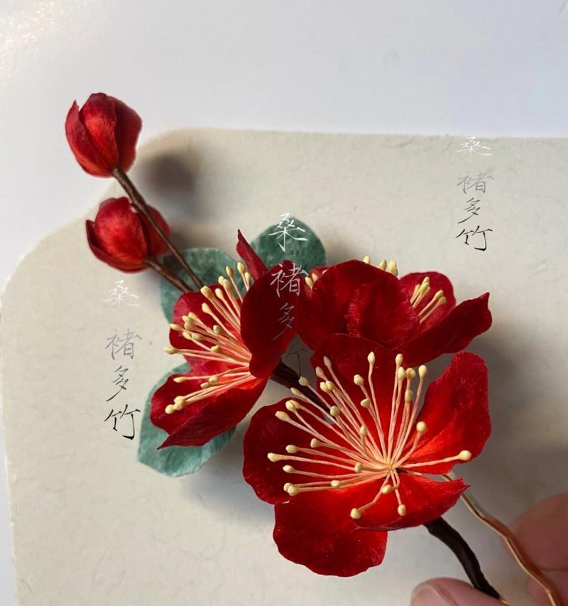 红色海棠花盆栽的花语代表什么？