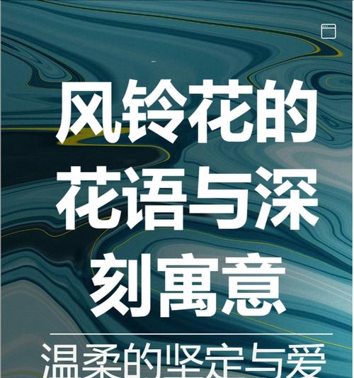 熏衣草的花语是什么？它通常用来表达什么样的情感？