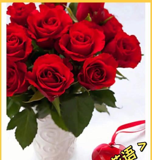 花语留芳代表了什么？