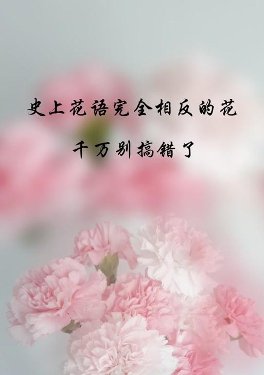 半边脸的花语代表什么？