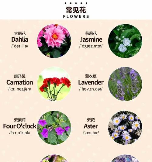 各种花的花语分别代表什么？
