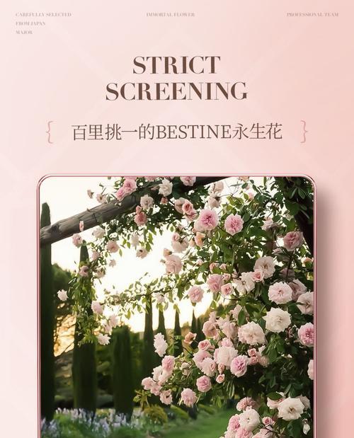 永生花是什么花的花语？永生花的寓意是什么？