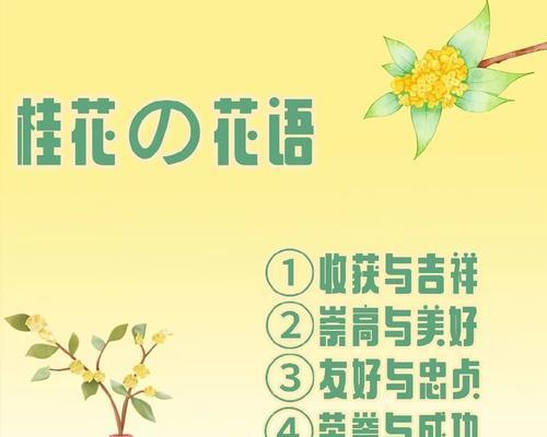 热情奔放积极的花语代表什么含义？