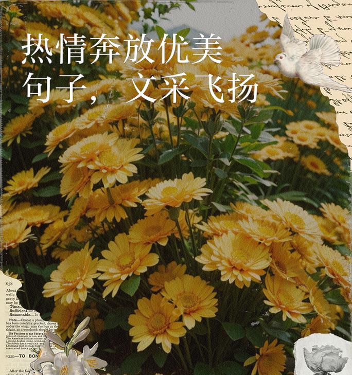 热情奔放积极的花语代表什么含义？