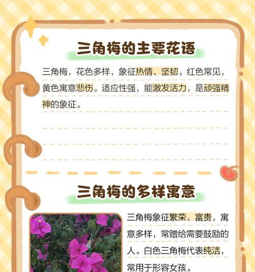 热情奔放积极的花语代表什么含义？