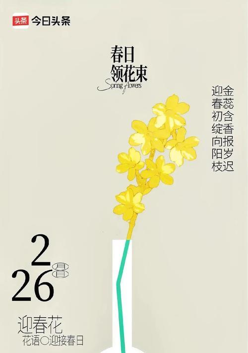 哪种花的花语最能体现热情与活力？