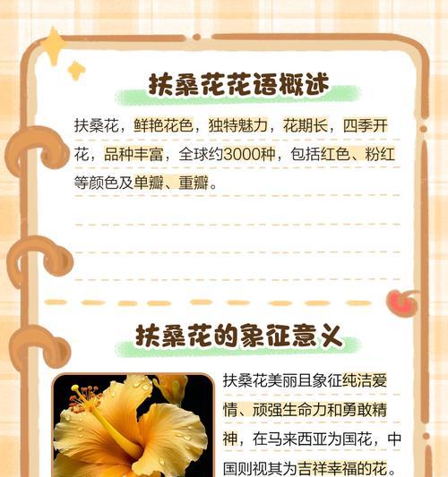 哪种花的花语最能体现热情与活力？