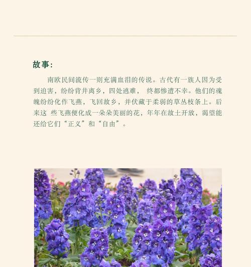 花的别名与花语有何关联？