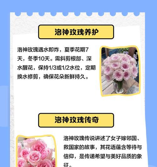 突然想到玫瑰花语是什么意思？玫瑰花语有哪些？