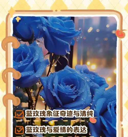 突然想到玫瑰花语是什么意思？玫瑰花语有哪些？