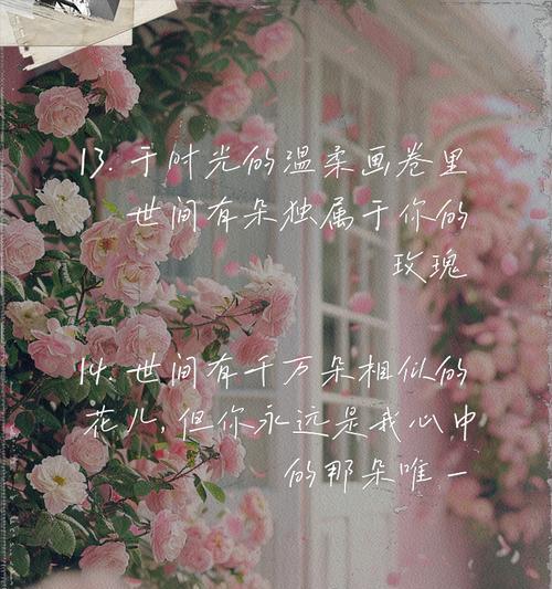 玫瑰永不凋零的花语有何深意？如何传递永恒的爱？