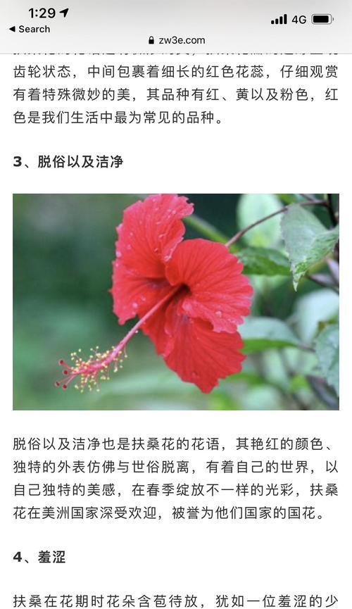你猜下我是什么花的花语？你能猜出这些花语对应的花吗？