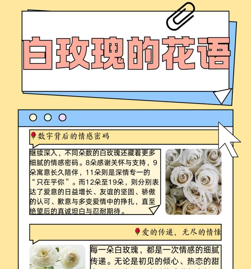 天天开心的鲜花花语是什么？玫瑰花语每朵代表什么？