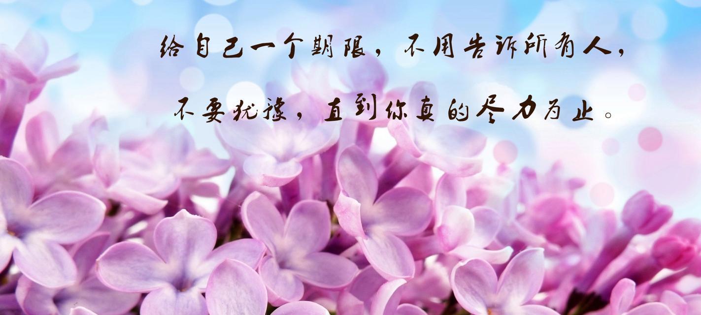 鼓励进步的花语代表什么含义？