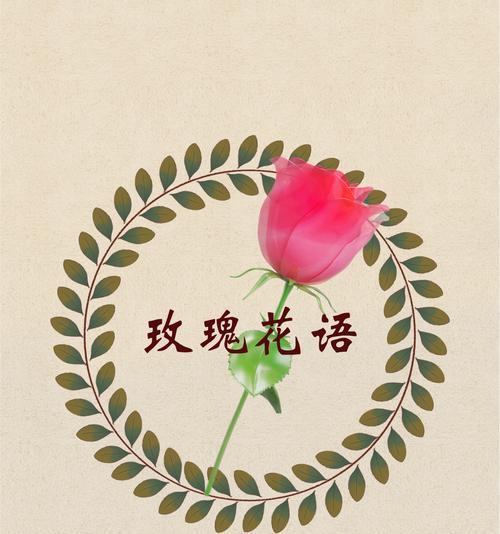 男士花卉礼物及其花语有哪些？