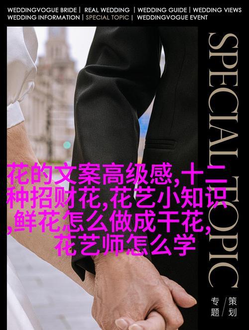 男士花卉礼物及其花语有哪些？