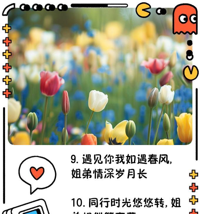 师弟师妹们送花时花语有何含义？送花表达的是什么情感？