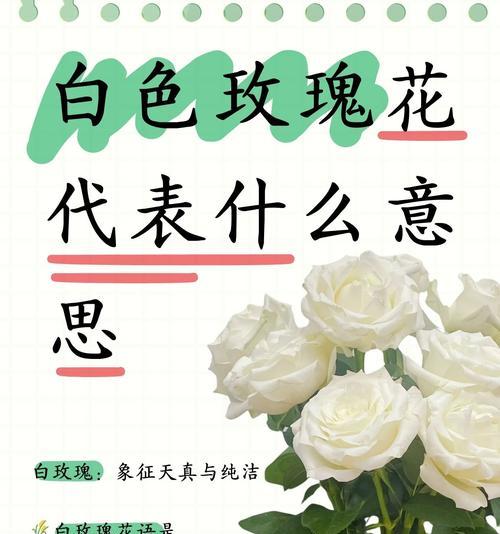 对爱痴迷的花语代表什么含义？