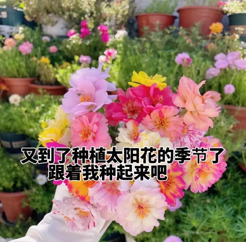 对爱痴迷的花语代表什么含义？