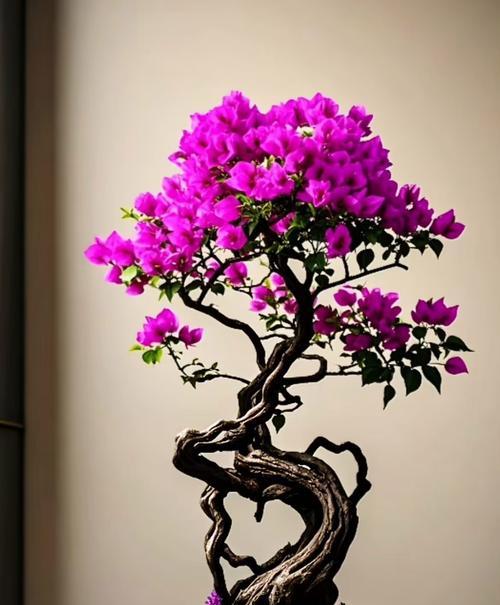 枯树开花寓意何在？其花语代表什么？