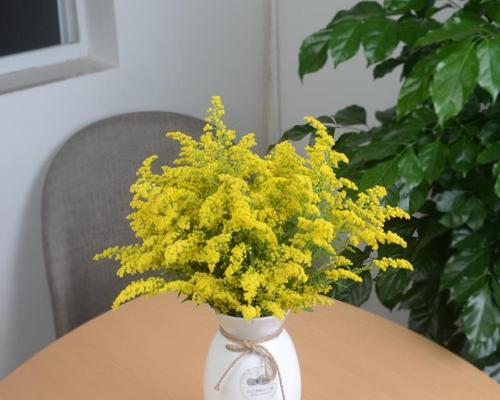 补叶草的花语是什么？它在传统花语中代表什么？