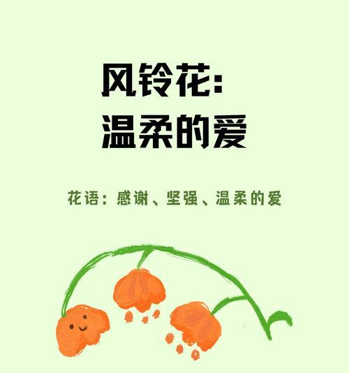 哪种花代表温柔的花语？