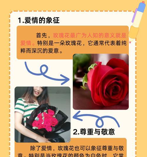 高贵和神秘的花语通常由哪种玫瑰表达？它的含义是什么？