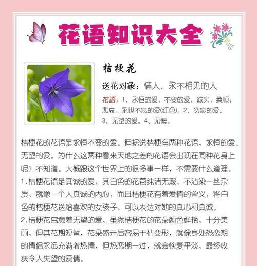 蓝桔梗花的寓意和花语分别是什么？