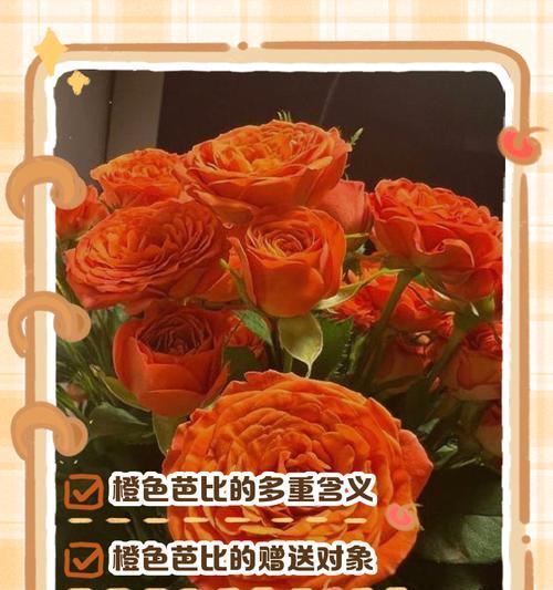 橘子姑凉的花语有何特别之处？