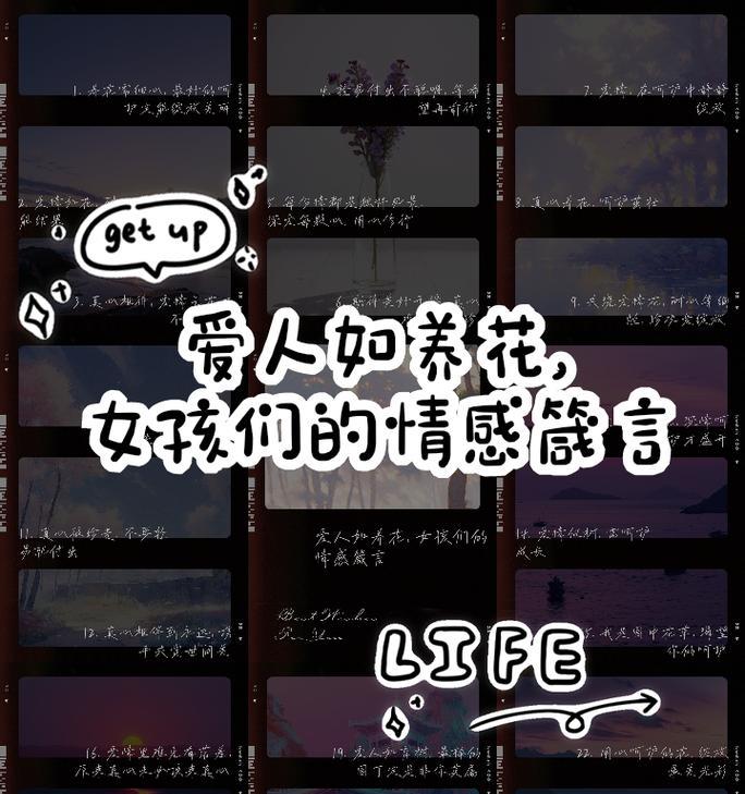 真心准备的花语有何含义？代表什么情感？