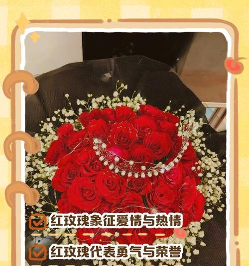半白半玫瑰红的花语代表了什么？