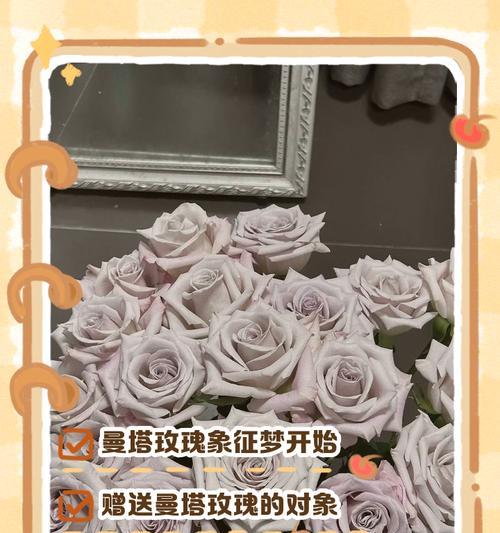 用什么花语来调侃别人最合适？