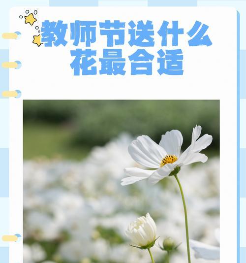 用什么花语来调侃别人最合适？