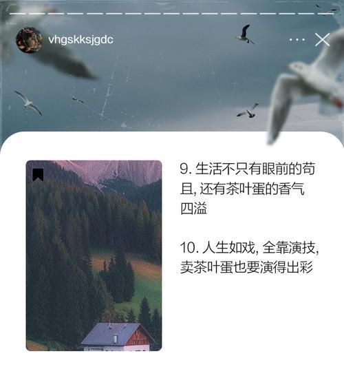 茶叶蛋的花语有何特殊含义？