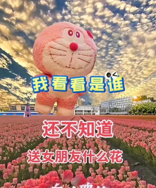 白玫瑰的禁忌花语是什么？它在花语中有哪些忌讳？