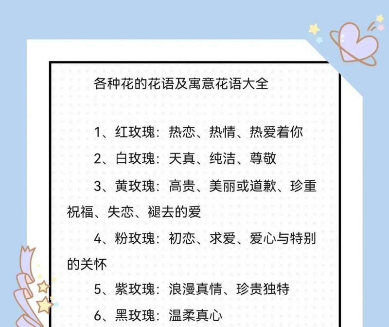 一支菊的花语代表什么？在送花时应注意什么？