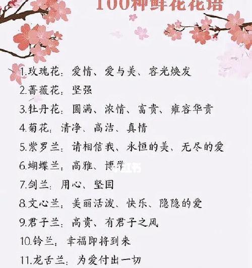 一支菊的花语代表什么？在送花时应注意什么？