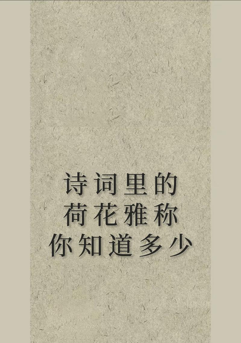 荷花的花语有哪些深层含义？