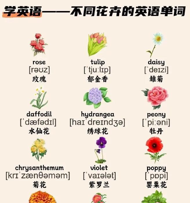 花卉代表的花语是什么？各种花卉的花语有哪些？