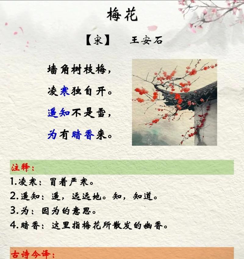 梅花的花语有哪些含义？