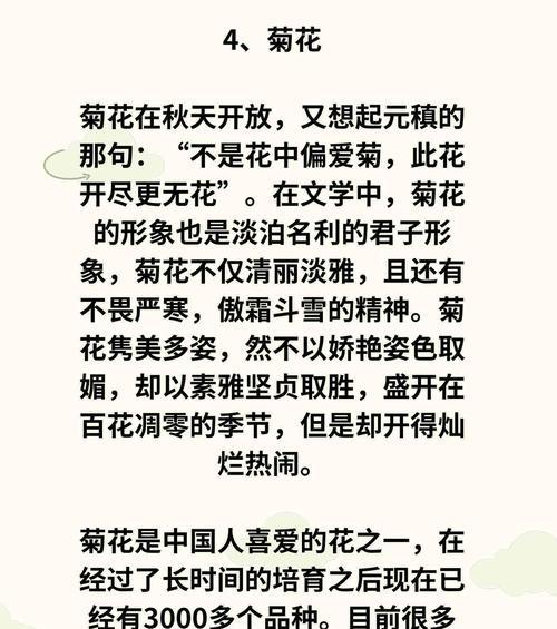 梅花的花语有哪些含义？