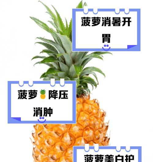 养菠萝叶的寓意和花语有何特别之处？
